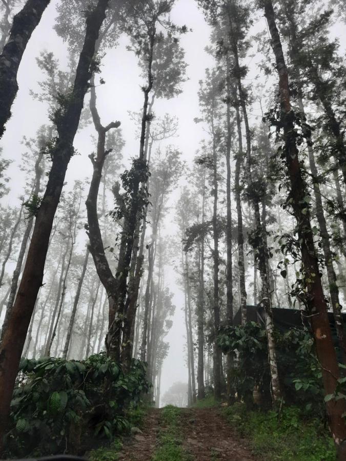 Coorg Happy Estate Stay Madikeri Exteriér fotografie